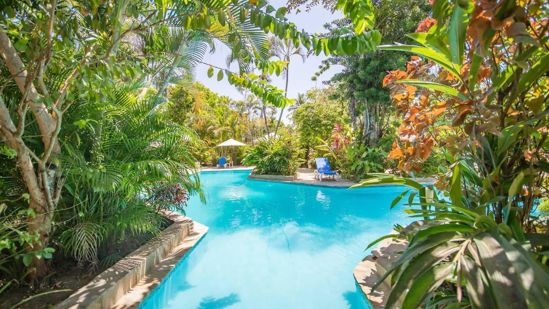 Room In Guest Room - 2Br Caribbean Condo In Cabarete Center 0*,